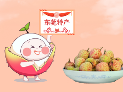 ����888����حһ����װ���¡�����֦��