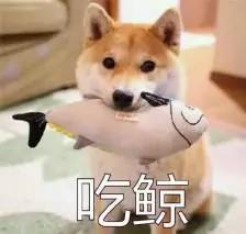 1625534390798776 ΢ÐÅͼƬ_20210706091843.jpg